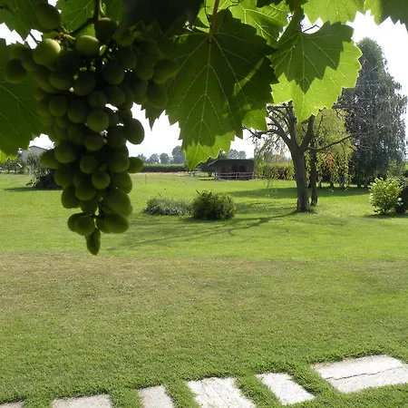 Alojamento de Acomodação e Pequeno-almoço Seguendo L'oca *