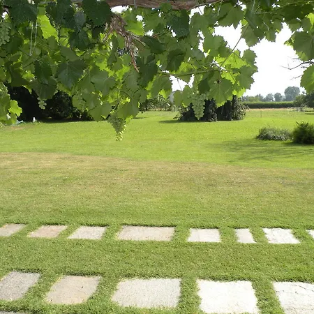 Seguendo L'oca Cervasca