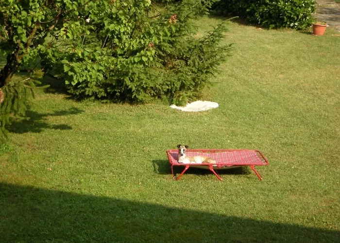 Seguendo L'oca Bed and Breakfast *