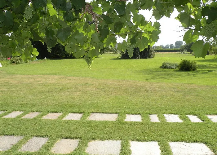 Seguendo L'oca Cervasca